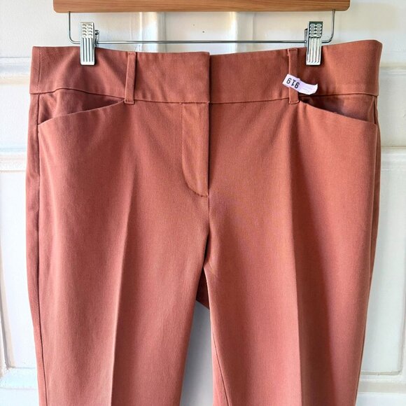 Loft Outlet Pants Size 10 Brick Red Skinny Ankle Stretch Cotton Blend Neutral - Picture 2 of 9